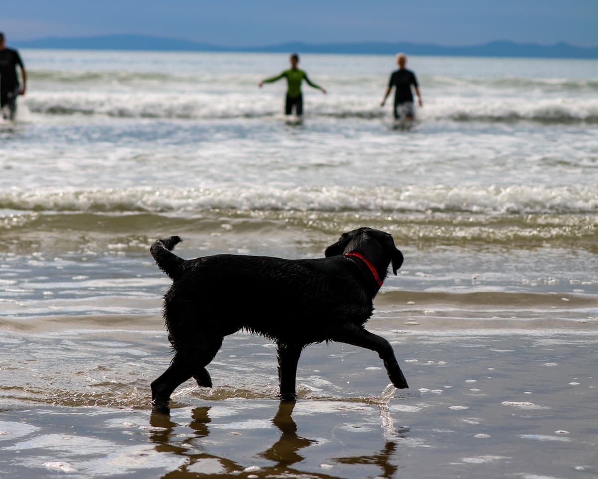 On Harlech Beach